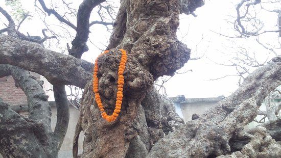 Chand Kazi's Samadhi